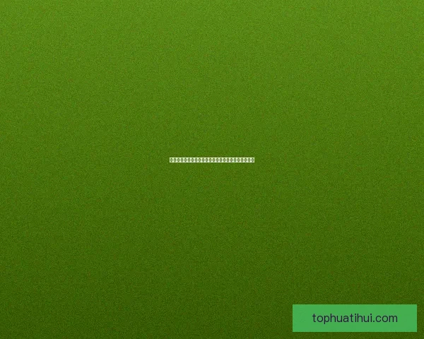 世界杯竞猜赔率网站全面解析投注策略与即时赔率动态